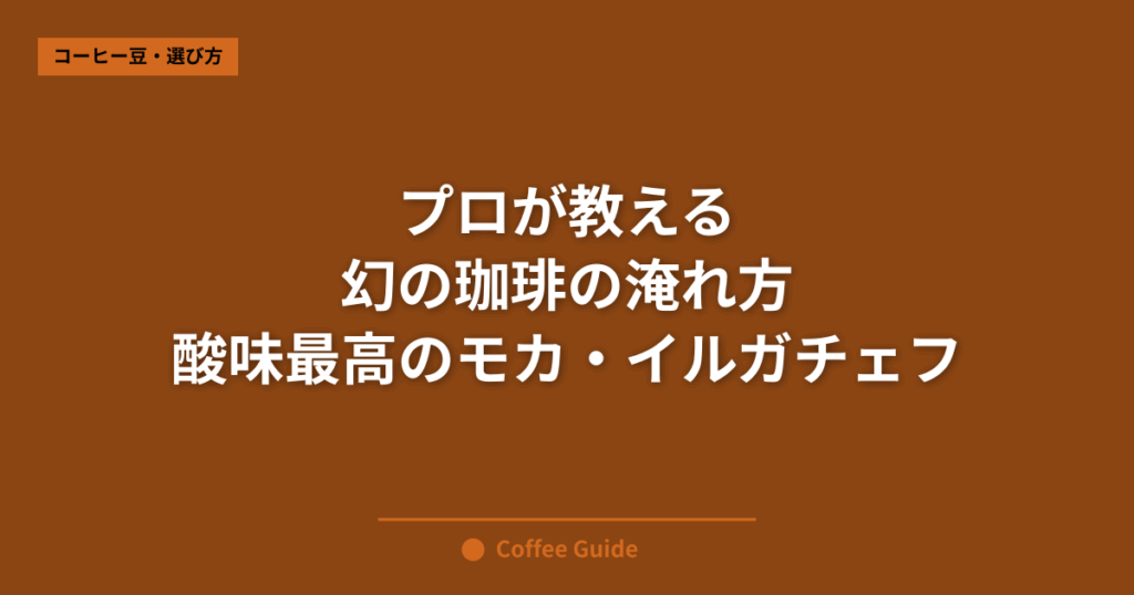 プロが教える 幻の珈琲の淹れ方 酸味最高のモカ・イルガチェフ